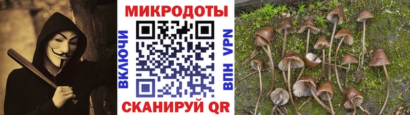 Галлюциногенные грибы MAGIC MUSHROOMS  Купить где  Благодарный 