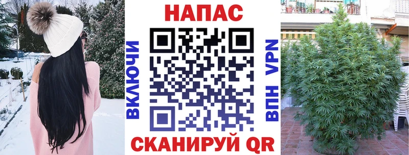 Каннабис OG Kush  Купить закладки  Благодарный 